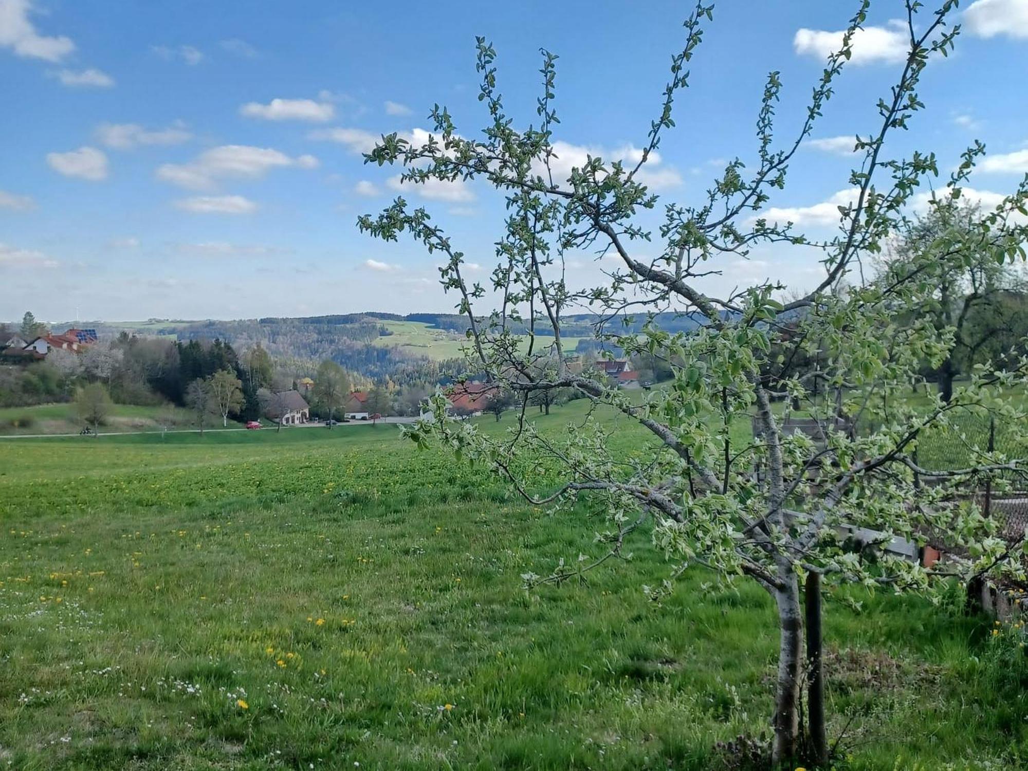 Landhaus Alpenpanorama Loeffingen Exterior photo